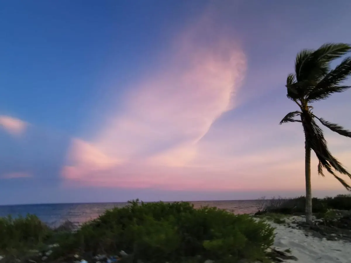 Kemp Cuzan Guesthouse Punta Allen By Savana