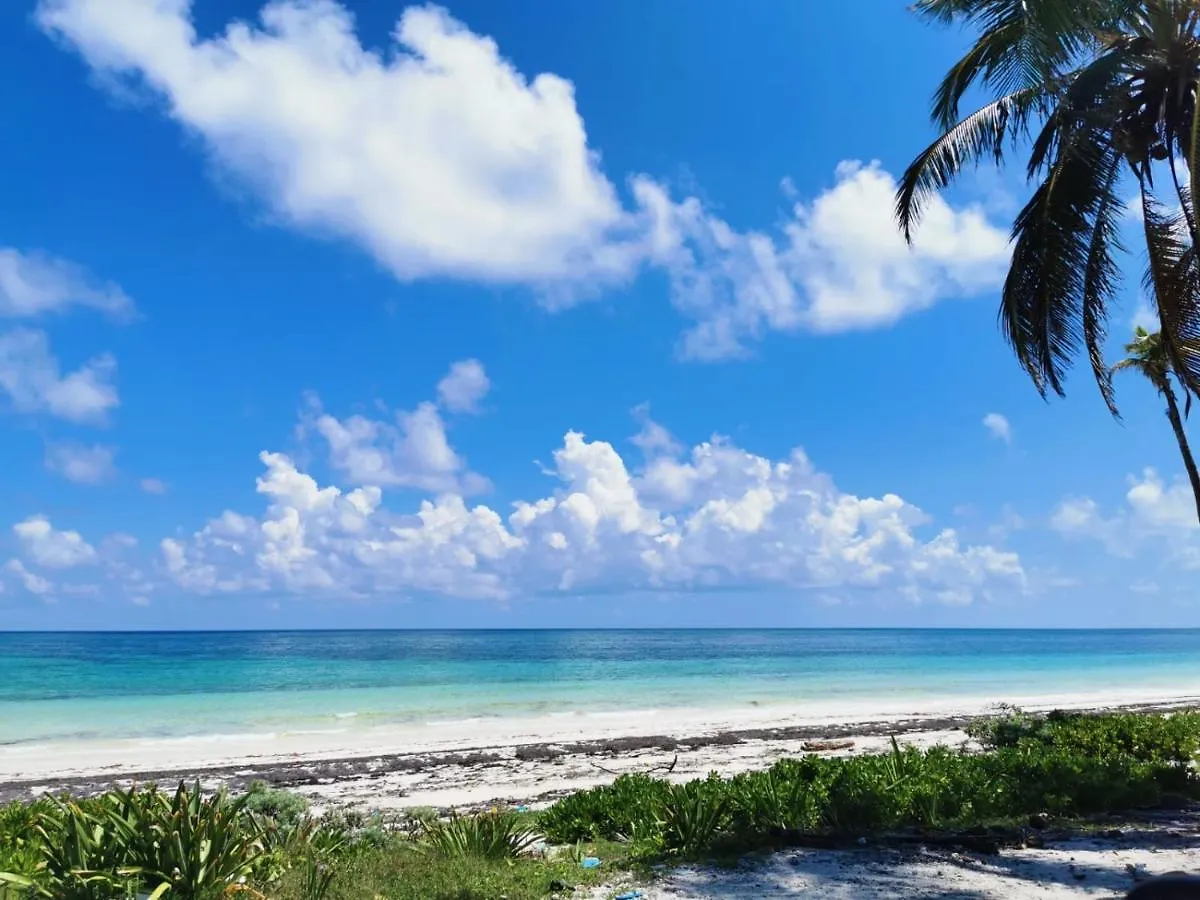 Kemp Cuzan Guesthouse Punta Allen By Savana