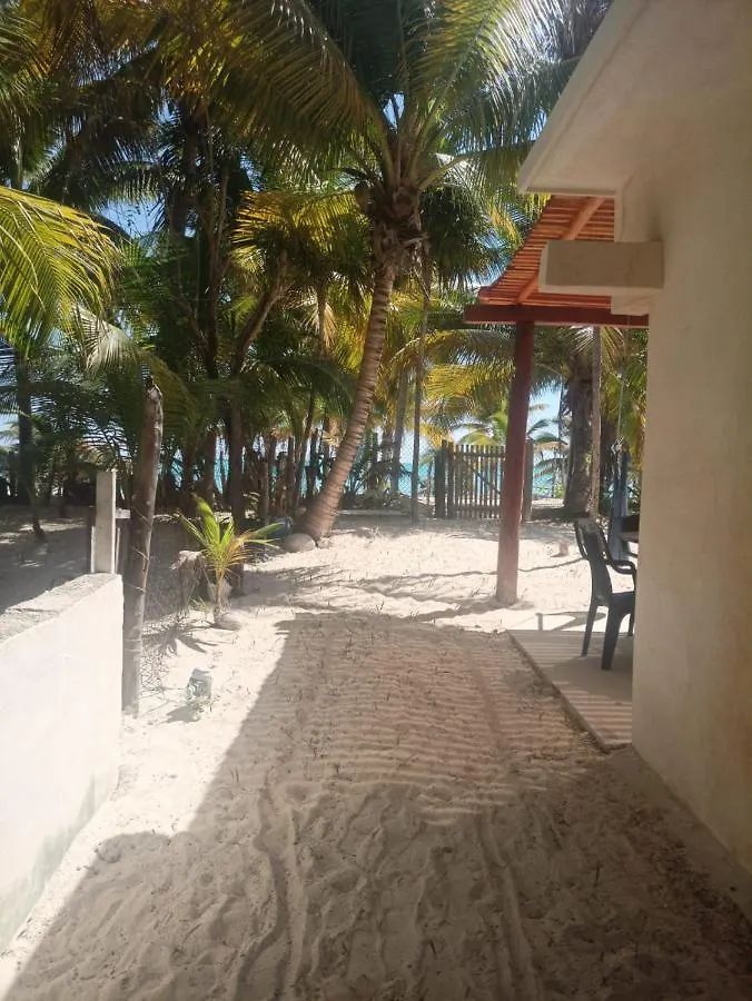 Cuzan Guesthouse Punta Allen By Savana キャンプ場