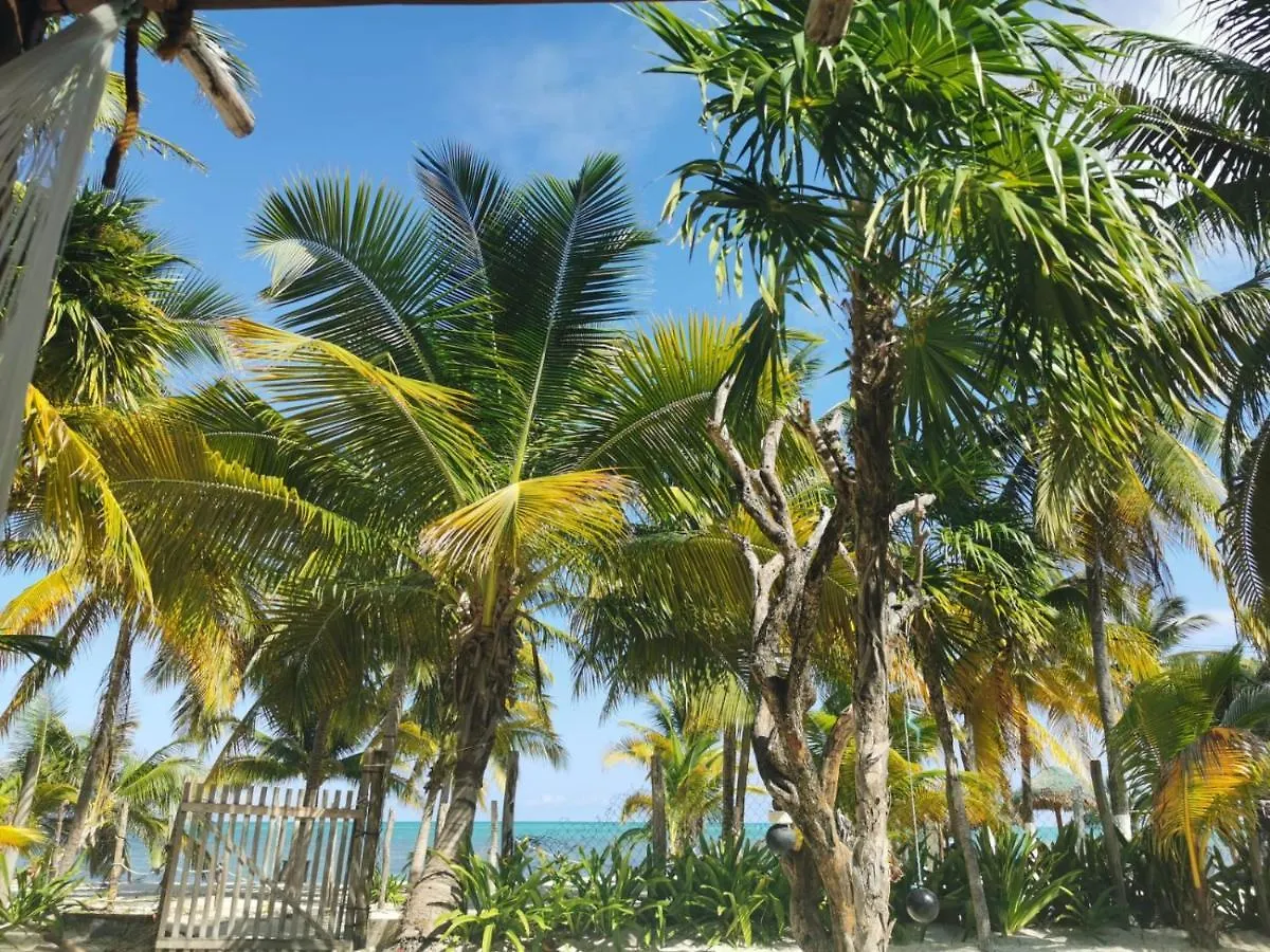 Cuzan Guesthouse Punta Allen By Savana キャンプ場