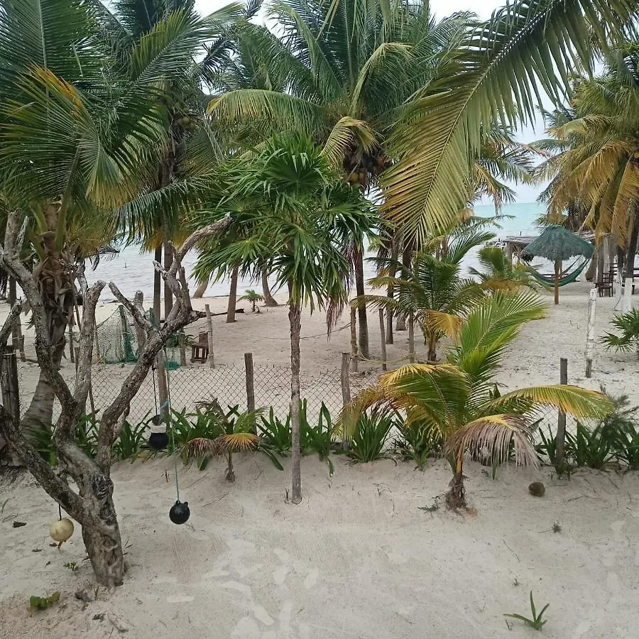 Cuzan Guesthouse Punta Allen By Savana