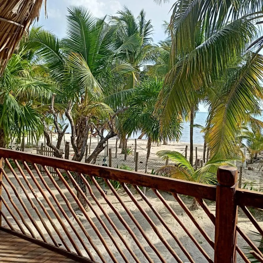 キャンプ場 Cuzan Guesthouse Punta Allen By Savana
